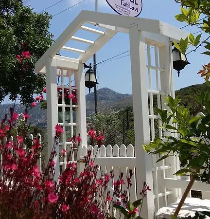 Masal סלימייה