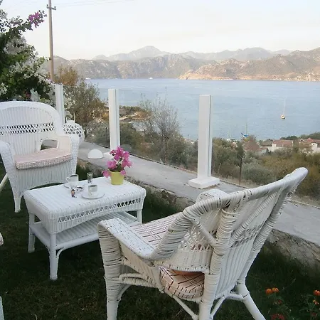 Masal סלימייה