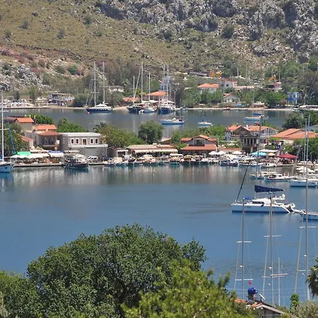 Masal סלימייה