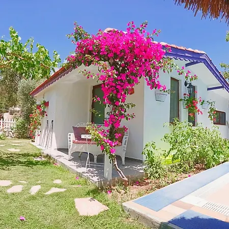 Masal 3* 塞利米耶