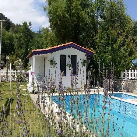 Masal Selimiye (Aegean)