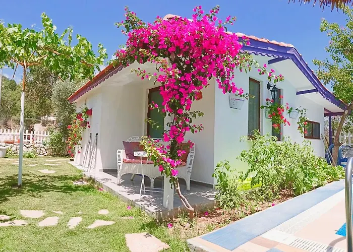 Masal 3* 塞利米耶